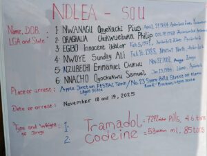 NDLEA Dismantles ₦6.7bn Drug Cartel, Arrests Notorious Baron in Lagos Raid