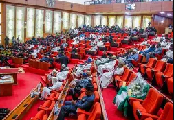 Senate Clears Air Peace of Negligence Over Drug Allegations 2 Senate Exonerates Air Peace Over Pilot Drug Allegations