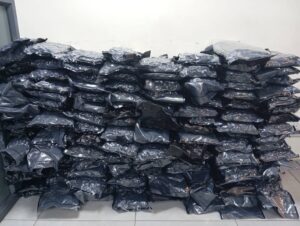 NDLEA Busts Lagos Colos Lab, Arrests Music Artist Over Drug Imports