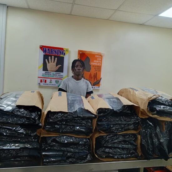 NDLEA Busts Lagos Colos Lab, Arrests Music Artist Over Drug Imports