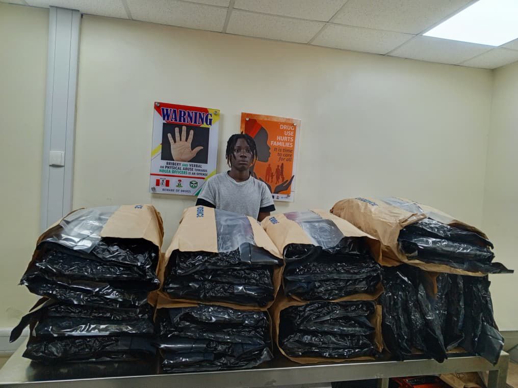 NDLEA Busts Lagos Colos Lab, Arrests Music Artist Over Drug Imports