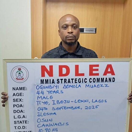 Five Drug Barons Jailed 21 Years as NDLEA Seizes Luxury Cars, Cash in Lagos