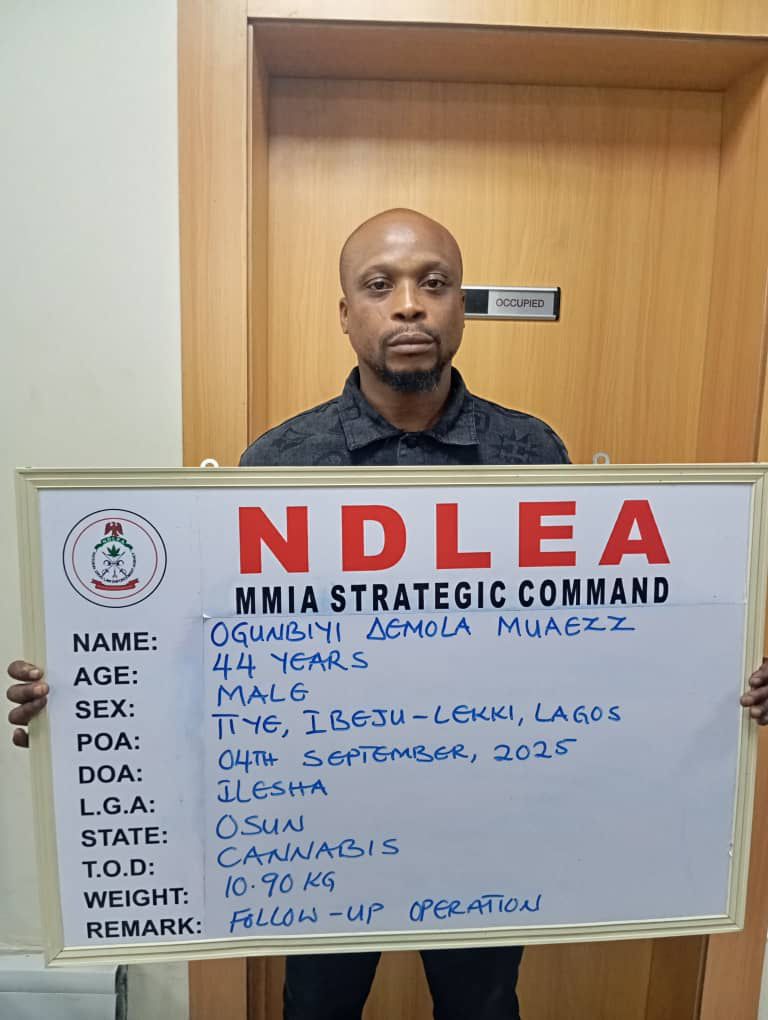 Five Drug Barons Jailed 21 Years as NDLEA Seizes Luxury Cars, Cash in Lagos 5 Five Drug Barons Jailed 21 Years as NDLEA Seizes Luxury Cars, Cash in Lagos