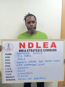 Five Drug Barons Jailed 21 Years as NDLEA Seizes Luxury Cars, Cash in Lagos