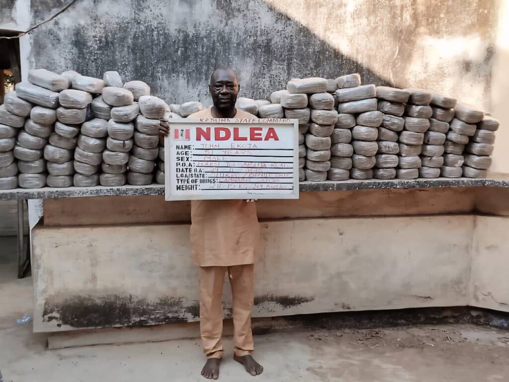 NDLEA Intercepts Drugs and Ammunition in Nationwide Raids