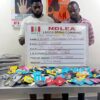 NDLEA Uncovers Drugs Hidden in Christmas Cookies, Teddy Bears and Vitamin Bottles