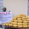 Ex-Convict Rearrested as NDLEA Foils UK-Bound Cocaine Hidden in Starch Sachets