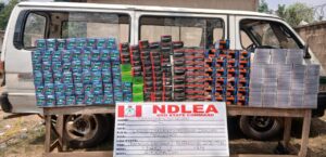 Ndlea Bust Abandoned