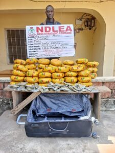 Ndlea Bust Adamu