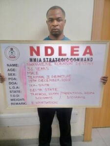 Ndlea Bust Roinson