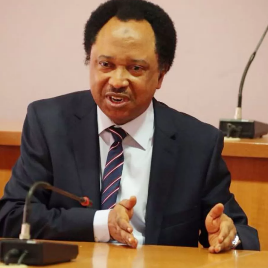 Shehu Sani Backs US Airstrikes on Terrorists in Nigeria