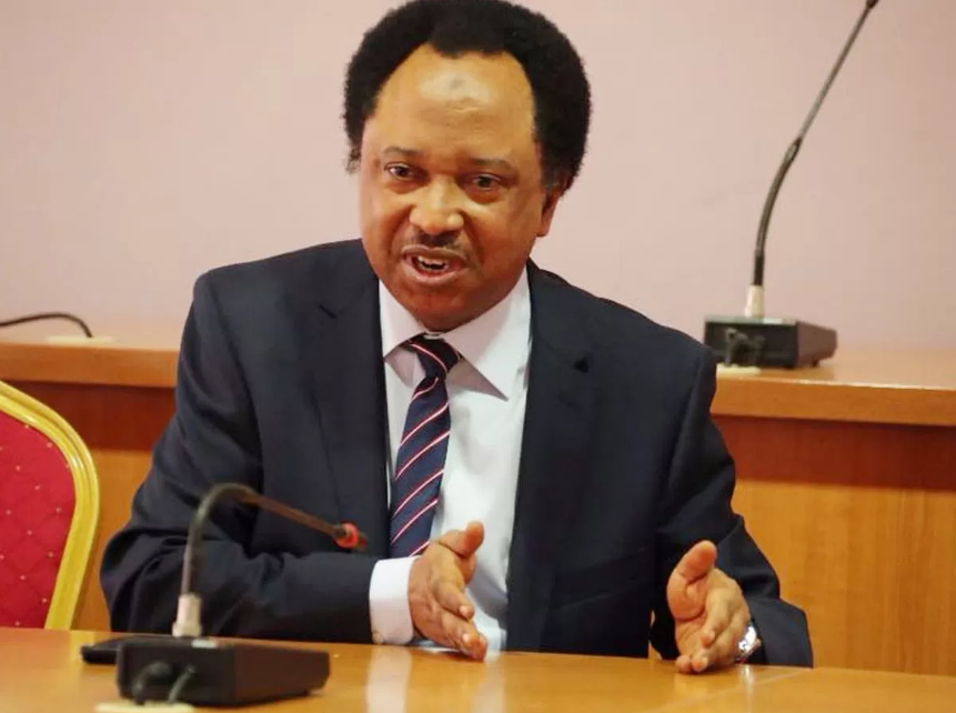 Shehu Sani Backs US Airstrikes on Terrorists in Nigeria