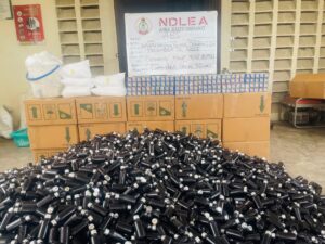 Gamboli Arrested as NDLEA Uncovers Major Drug Networks, Intercepts Overseas-Bound Opioids Nationwide 3 https://louisaolaniyi.com.ng/