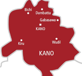 Kano CSO Demands Justice After Woman, Six Children Killed