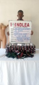 NDLEA Bust Ani Romanus