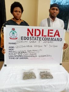 NDLEA Uncovers Drugs in Mannequins, Arrests 80-Year-Old Ex-Convict in Multi-State Raids 6 NDLEA Bust Labo Edigyn