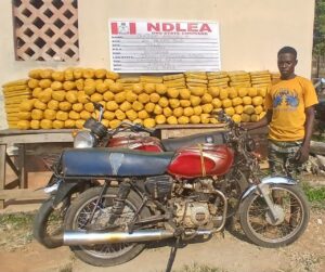 NDLEA Uncovers Drugs in Mannequins, Arrests 80-Year-Old Ex-Convict in Multi-State Raids 8 NDLEA Bust Olajide