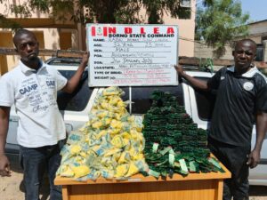 NDLEA Arrests Suspects, Seizes Drugs Across Ekiti, Edo, Kano, Others