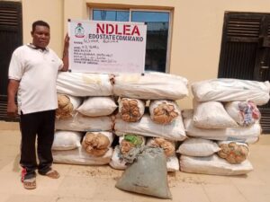 NDLEA Bust Usihor