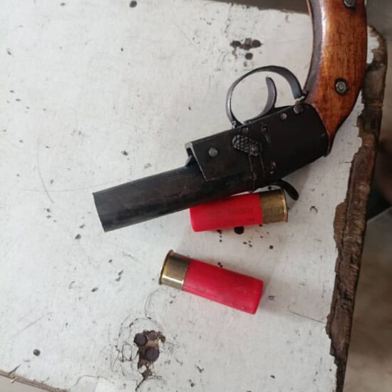 Lagos Police Arrest Two Armed Robbery Suspects, Recover Firearms in Ajegunle and Ojo