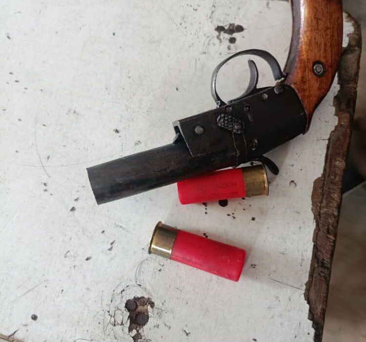 Lagos Police Arrest Two Armed Robbery Suspects, Recover Firearms in Ajegunle and Ojo