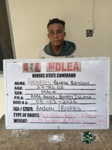 NDLEA Raid Genesis