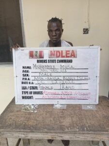 NDLEA Raid Musa