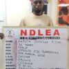 NDLEA Seizes Cocaine Hidden in Dry Fish Heads Bound for India