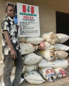 NDLEA Bust Alaba