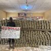 NDLEA Operations Lead to Multiple Arrests and Major Drug Seizures