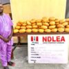 NDLEA Arrests Ex-Lagos Councillor