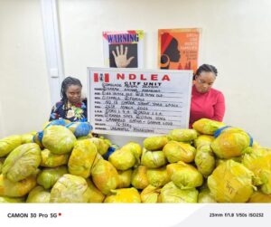 NDLEA Seizes Cocaine Hidden in Dry Fish Heads Bound for India