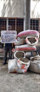NDLEA Busts Cocaine Hidden in Dry Fish Heads Bound for India 4 NDLEA Seizes Cocaine Hidden in Dry Fish Heads Bound for India