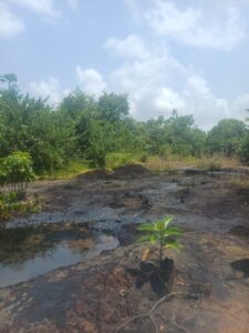 Nigerian Navy Destroys Illegal Crude Oil Storage Site in Rivers State Under 'Operation Delta Sentinel' 4 Operations Delta Sentinel 4