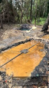 Operation Delta Sentinel: Navy Busts Illegal Oil Operations Worth Billions