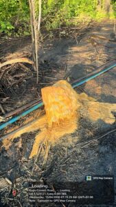 Operation Delta Sentinel: Navy Busts Illegal Oil Operations Worth Billions