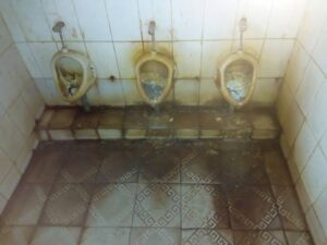 WhatsApp Image 2026 04 12 at 10.28.50