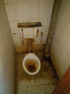 WhatsApp Image 2026 04 12 at 10.28.51 1