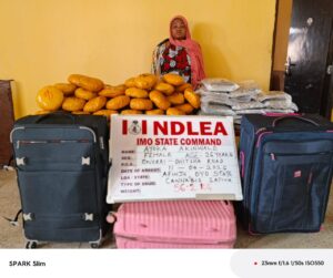 WhatsApp Image 2026 04 12 at 14.33.01