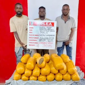 WhatsApp Image 2026 04 12 at 14.33.02 1