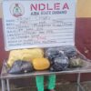 NDLEA Arrests 93-Year-Old Man Over Skunk Trafficking in Abia