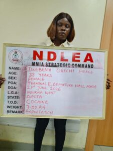 NDLEA Intercepts China-Bound Businesswoman with 7.5kg Cocaine, Seizes N12.3bn Cannabis at Lagos Port 3 NDLEA Bust 2