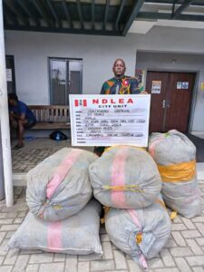 NDLEA Bust 7