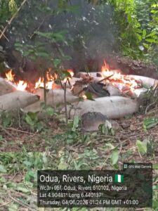 Delta Sentinel: Navy Exposes Evolving Illegal Fuel Tactics