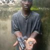 Lagos Police Arrest Suspected Armed Robber, Recover Locally Made Pistol and Charms