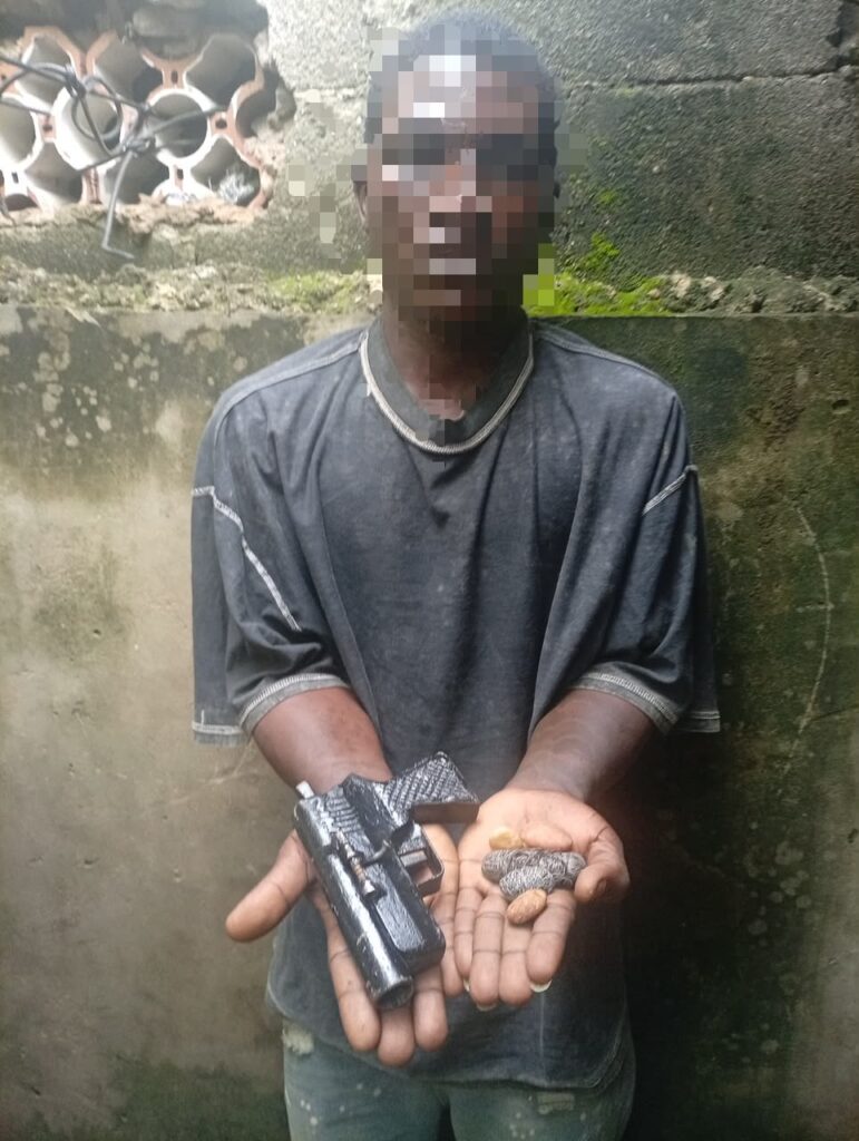 Lagos Police Arrest Suspected Armed Robber, Recover Locally Made Pistol and Charms