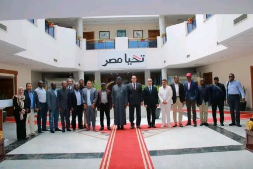 Amid Global Military Tensions, Nigeria Partners With Egypt to Boost Local Military Equipment Production