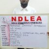 NDLEA Arrests India-Bound Businessman With Cocaine, Seizes ₦3.6bn Drugs in Lagos