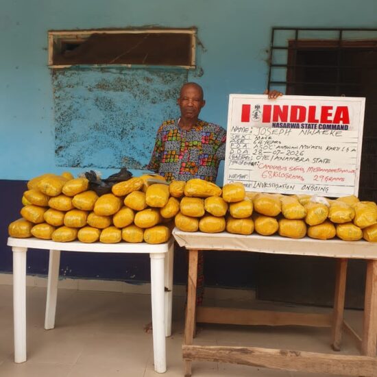 NDLEA Intercepts Cocaine Hidden in Mortar, Backpack Bound for China, Italy