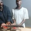 Police Nab Two Suspected Armed Robbers, Recover Locally Made Gun In Lagos